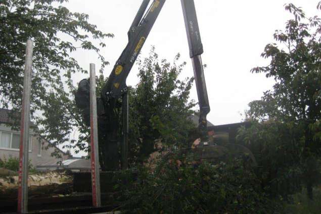 afvoeren takken na het rooien van bomen in schijndel madaliefstraat